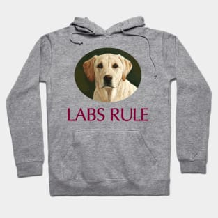 Yellow Labs Rule Hoodie